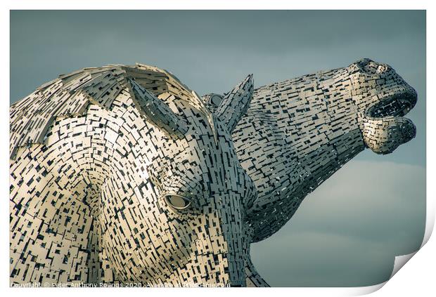 Up Close to The Kelpies Print by Peter Anthony Rollings