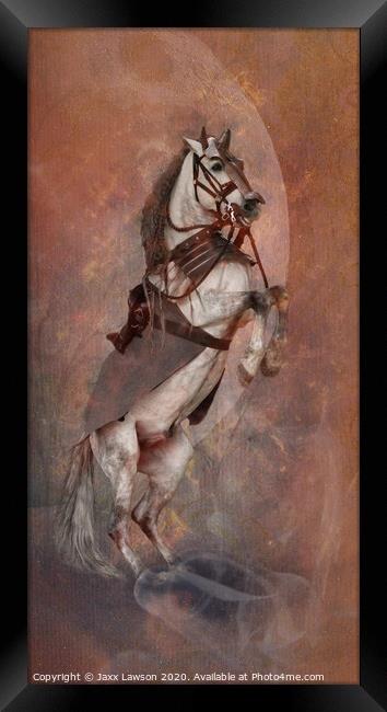 Warhorse Framed Print by Jaxx Lawson