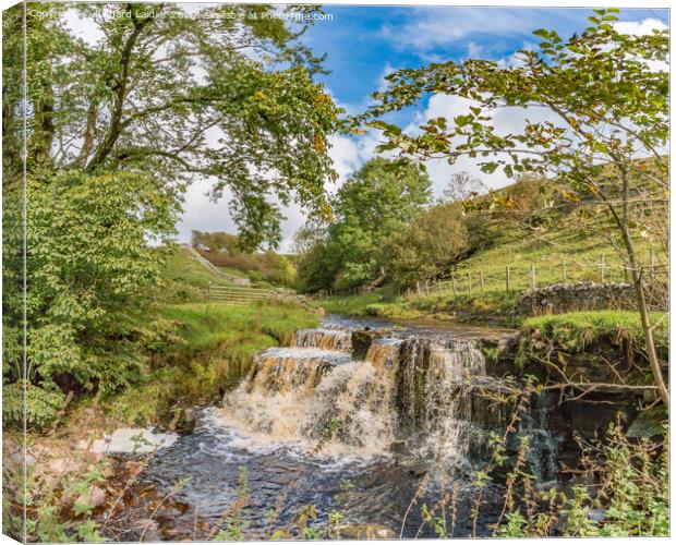 Autumn Tints at Ettersgill Beck Waterfall Canvas Print by Richard Laidler