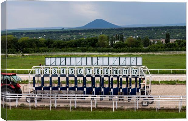 Before horse racing in Pyatigorsk Canvas Print by Mikhail Pogosov