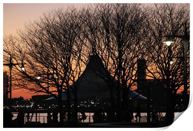 NYC pier sunset through the trees Print by Yulia Vinnitsky