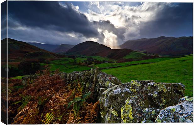 Martindale Common, Ullswater, Cumbria Canvas Print by David Lewins (LRPS)