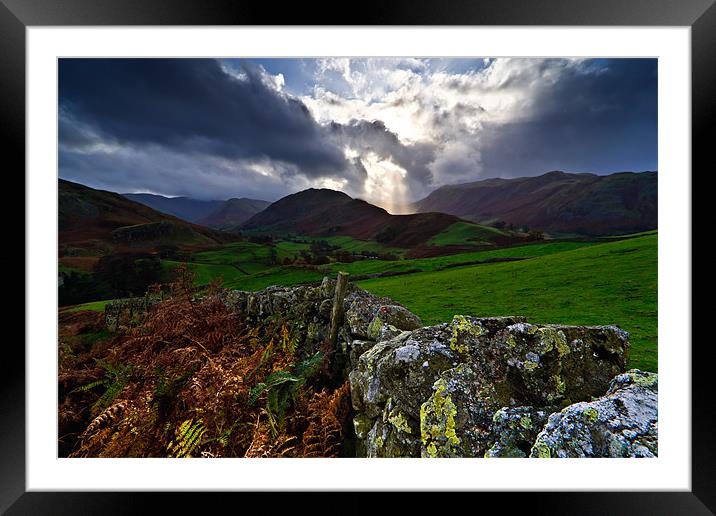 Martindale Common, Ullswater, Cumbria Framed Mounted Print by David Lewins (LRPS)