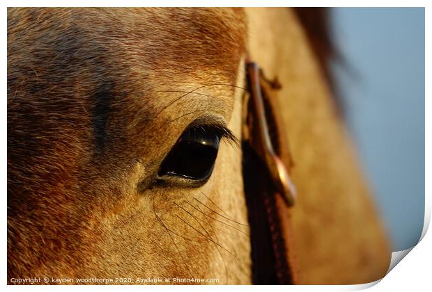 Sunrise in the eye of a horse  Print by kayden woodthorpe