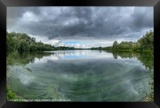 Whitlingham Country Park Panoramic  Framed Print by Sally Lloyd