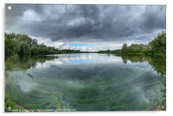 Whitlingham Country Park Panoramic  Acrylic by Sally Lloyd