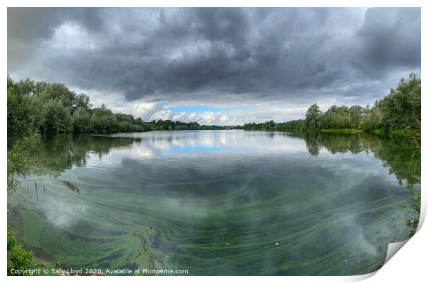 Whitlingham Country Park Panoramic  Print by Sally Lloyd