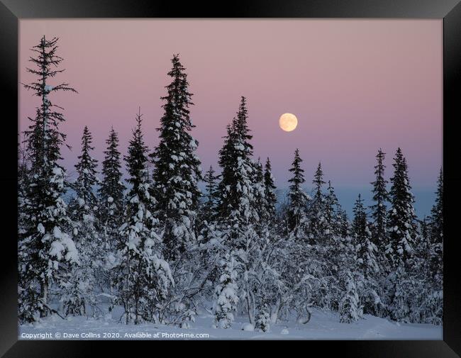 Winter Moonrise in Northern Finland Framed Print by Dave Collins
