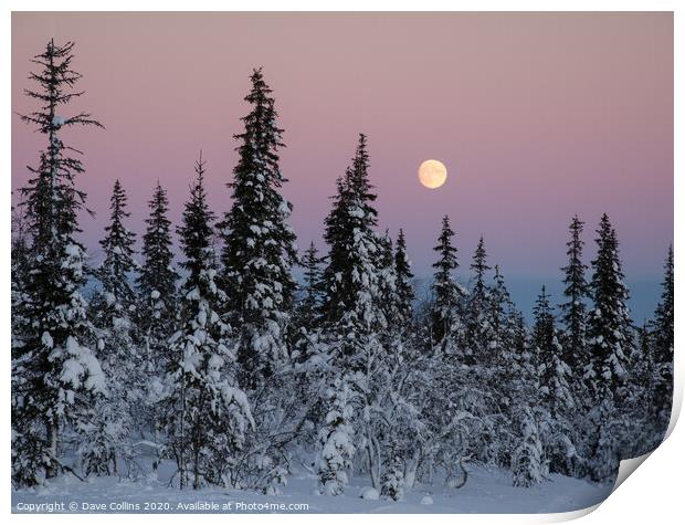 Winter Moonrise in Northern Finland Print by Dave Collins