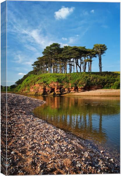 River Otter reflections at Budleigh Salterton  Canvas Print by Darren Galpin