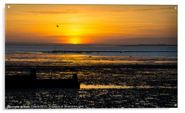Sunset at Whitstable Beach, Kent, England Acrylic by Dave Collins