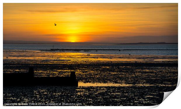 Sunset at Whitstable Beach, Kent, England Print by Dave Collins
