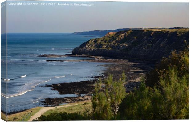 Coastal cliff edge in Scarborough Canvas Print by Andrew Heaps
