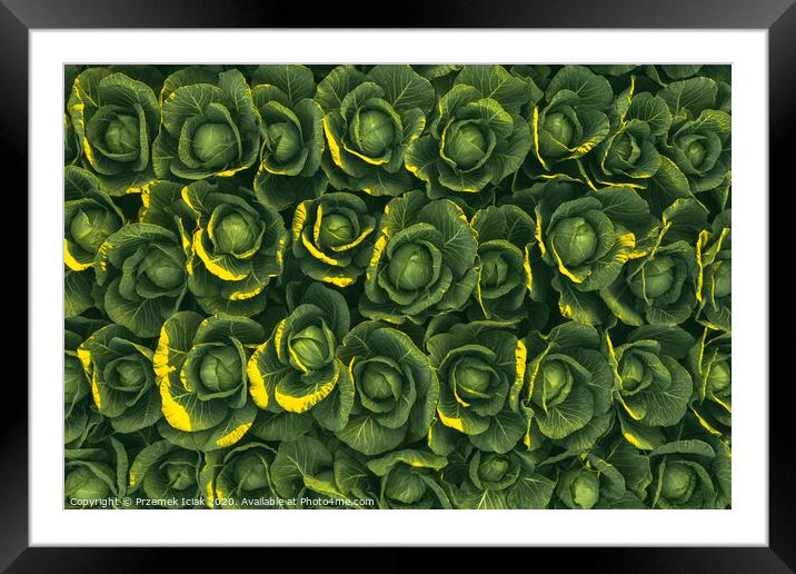Sunset over a field of cabbage aerial view from ab Framed Mounted Print by Przemek Iciak