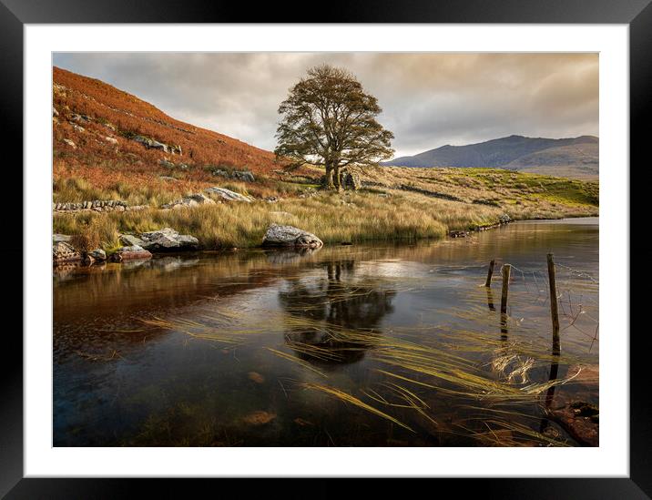 Llyn Dywarchen Framed Mounted Print by Rory Trappe