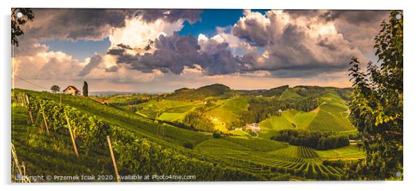 Vineyards in Austria panorama, famous destination with wine road in south Styria. Wine country in summer. Tourist destination. Acrylic by Przemek Iciak