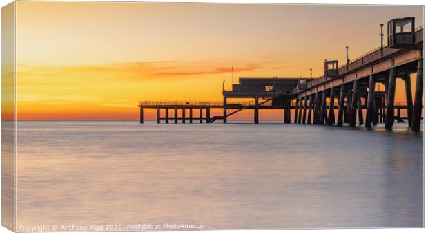 A sunrise over Deal Pier Canvas Print by Anthony Rigg