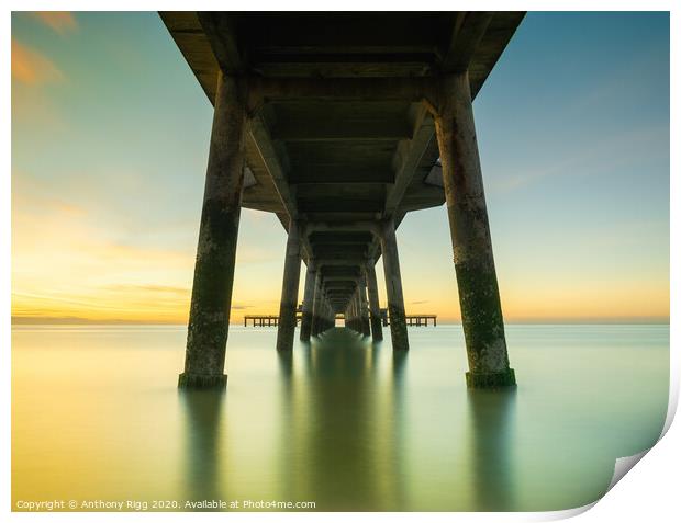 Underneath Deal Pier Print by Anthony Rigg