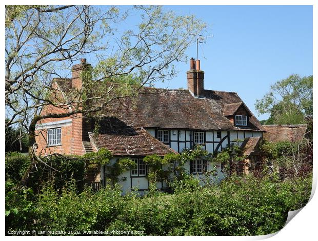 A Late 16th century timber framed Tudor farmhouse Print by Ian Mulcahy