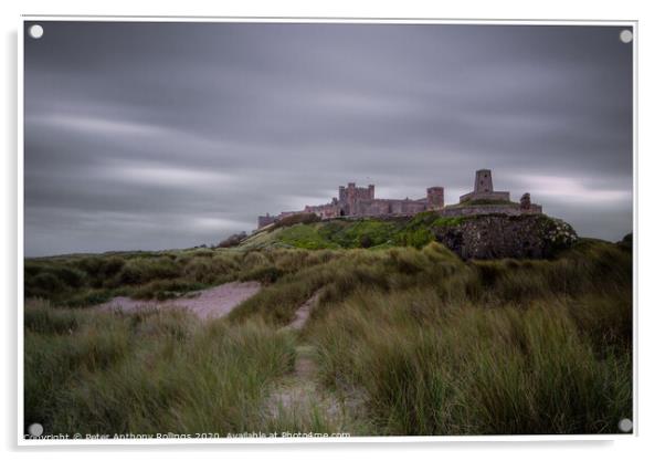 Bamburgh Castle Acrylic by Peter Anthony Rollings