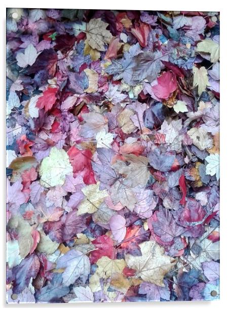 Majestic Autumn Foliage Acrylic by Beryl Curran