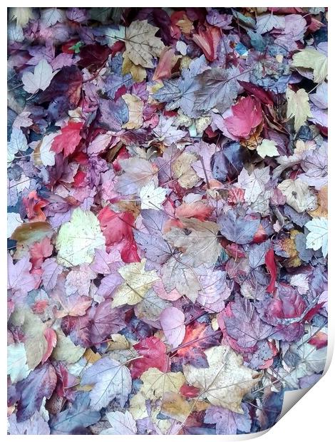 Majestic Autumn Foliage Print by Beryl Curran