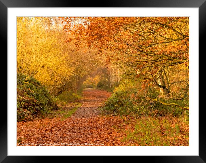 Autumn Colours at Barlow Common Framed Mounted Print by Angela Cottingham
