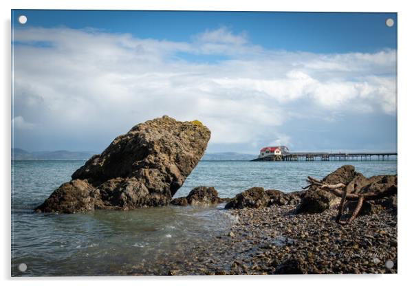 Mumbles pier viewed from Knab rock Acrylic by Bryn Morgan