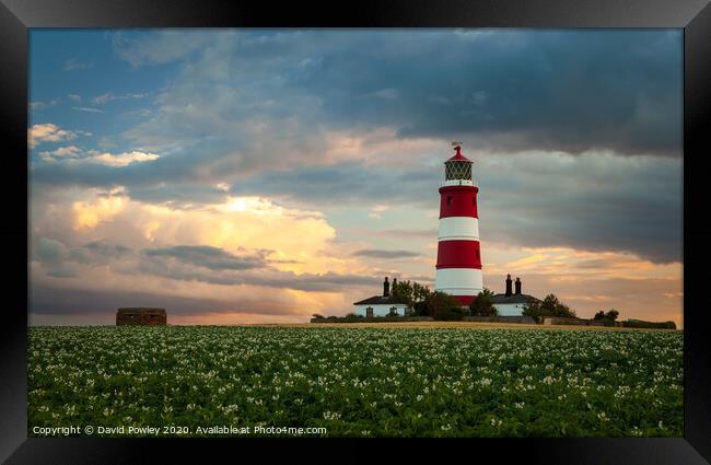 Evening light over Happisburgh Lighthouse Framed Print by David Powley