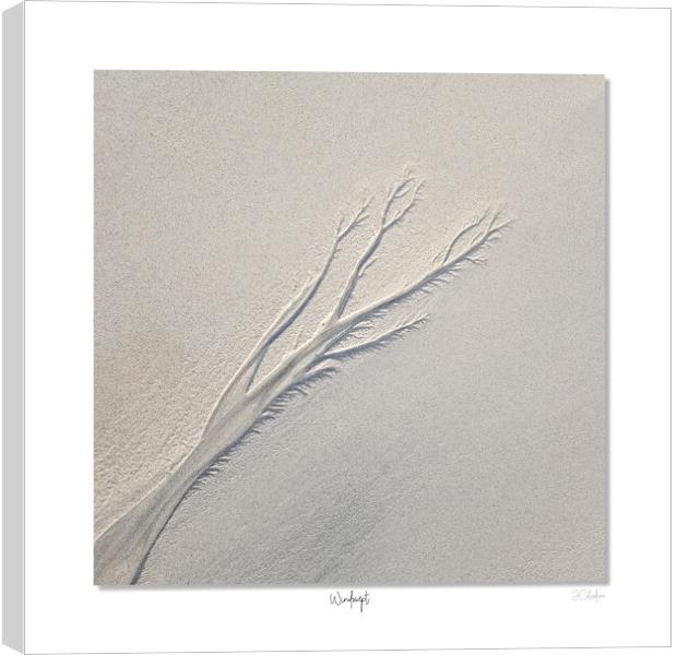 Windswept Canvas Print by JC studios LRPS ARPS