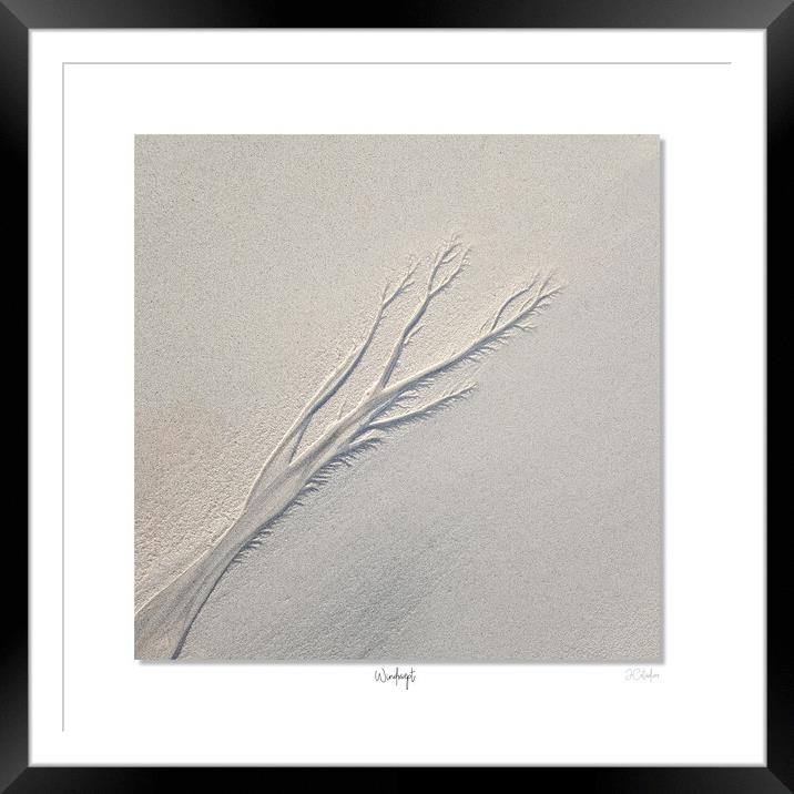 Windswept Framed Mounted Print by JC studios LRPS ARPS