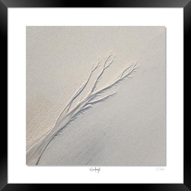 Windswept Framed Print by JC studios LRPS ARPS