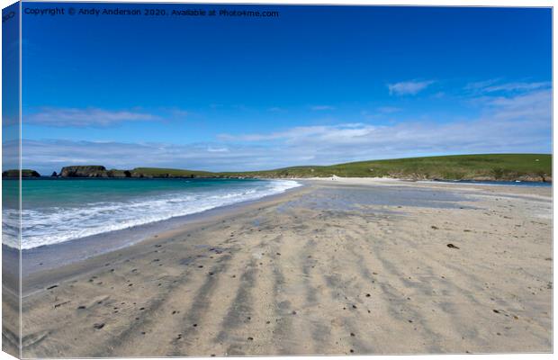 Shetland Golden Beach Canvas Print by Andy Anderson
