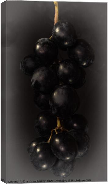 The Alluring Bunch of Black Grapes Canvas Print by andrew blakey