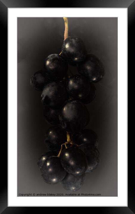 The Alluring Bunch of Black Grapes Framed Mounted Print by andrew blakey