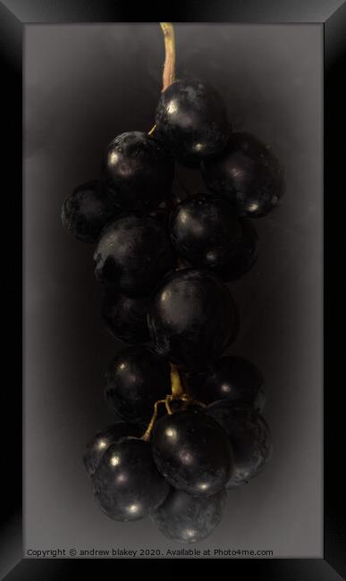 The Alluring Bunch of Black Grapes Framed Print by andrew blakey