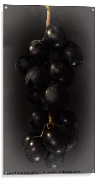 The Alluring Bunch of Black Grapes Acrylic by andrew blakey