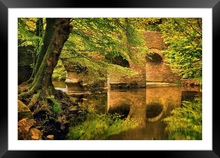River Plym at Plymbridge Framed Mounted Print by Darren Galpin