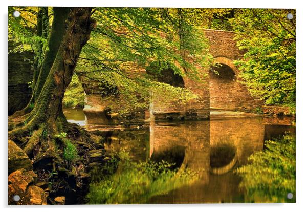 River Plym at Plymbridge Acrylic by Darren Galpin