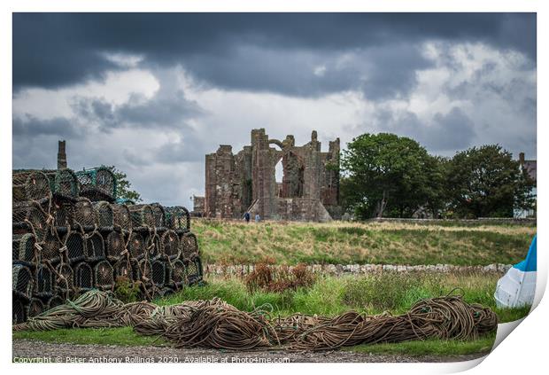 Holy Island Print by Peter Anthony Rollings