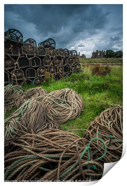 Holy Island Print by Peter Anthony Rollings