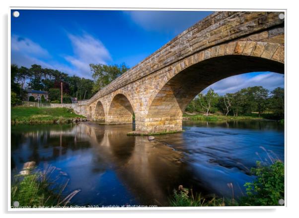 Bridge over Coquet  Acrylic by Peter Anthony Rollings