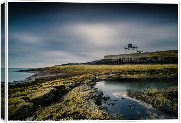 Bamburgh Lighthouse Canvas Print by Peter Anthony Rollings
