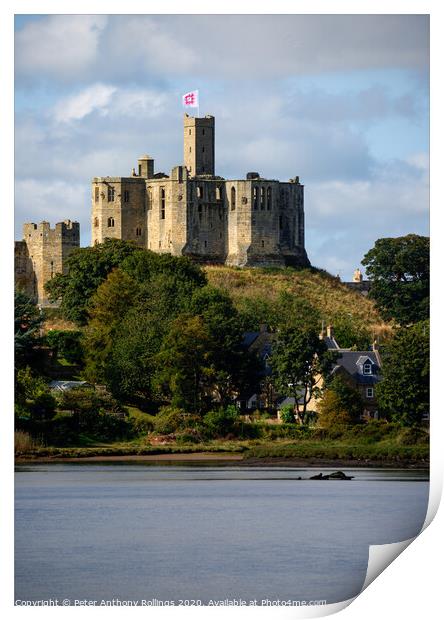 Warkworth Castle Print by Peter Anthony Rollings