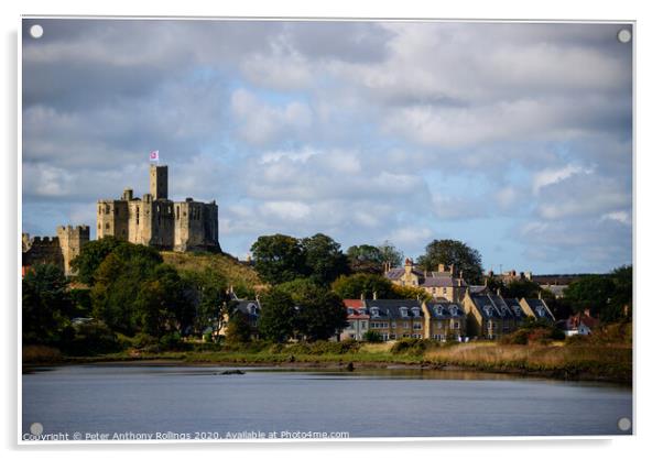 Warkworth Castle Acrylic by Peter Anthony Rollings