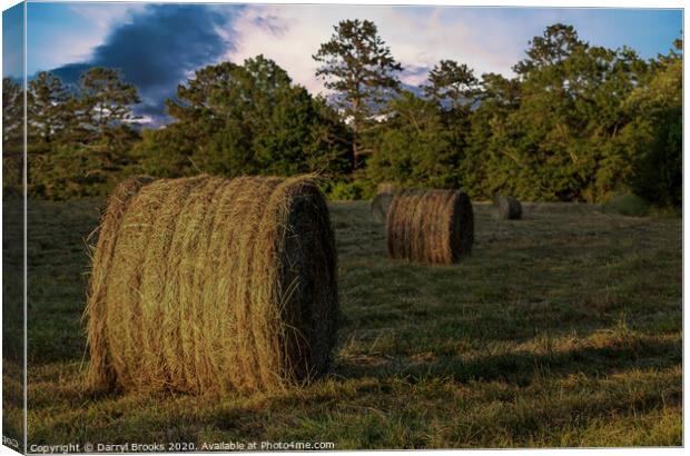 Rolls of Hay in Golden Hour Canvas Print by Darryl Brooks