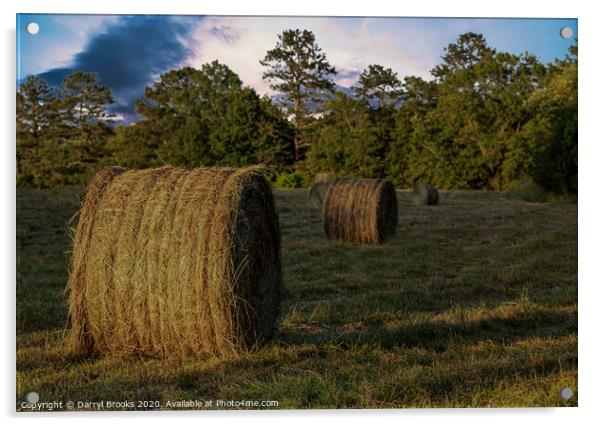 Rolls of Hay in Golden Hour Acrylic by Darryl Brooks