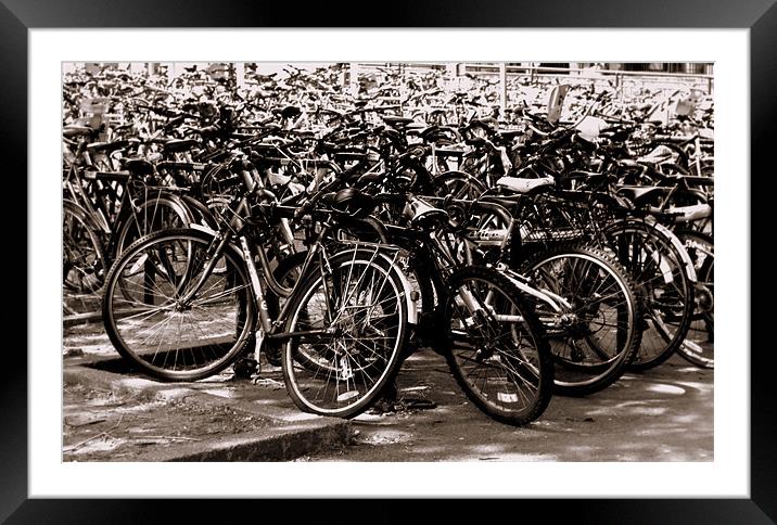 Sea of Bicycles Framed Mounted Print by Karen Martin