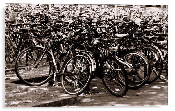 Sea of Bicycles Acrylic by Karen Martin