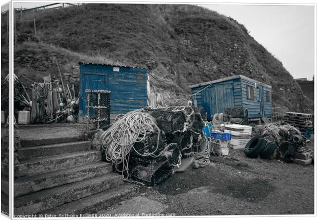 St Abbs Canvas Print by Peter Anthony Rollings